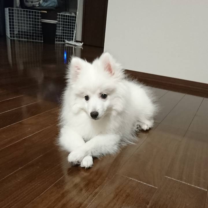 F8e876b8 467c 40f4 9153 af80c87ba5eb 1549718976986