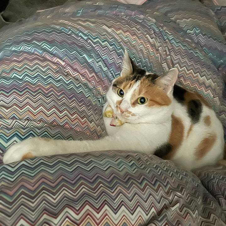 F8e8779d 67f2 4029 b0db aa237ba527e0 1641777853111