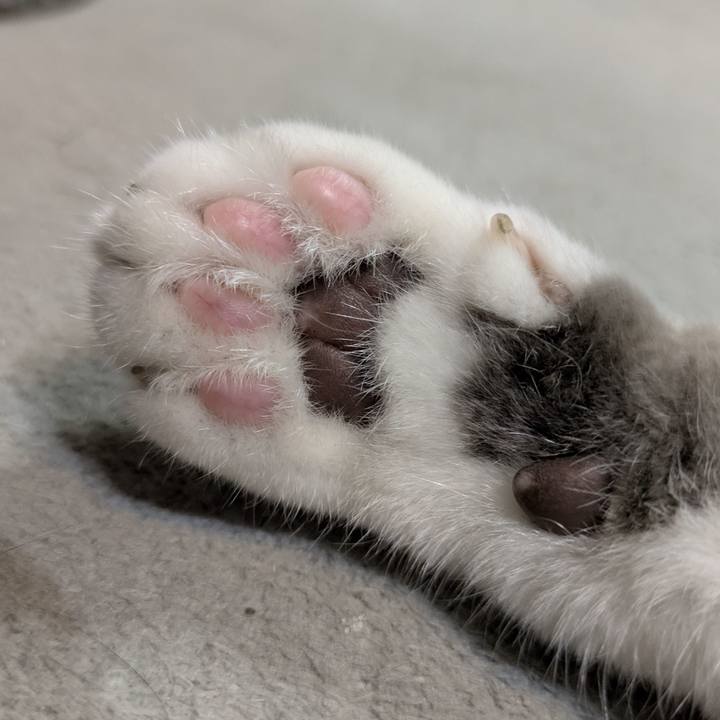 F8e87b2c ad01 43c1 9739 6db149ec6f3d 1757066751039