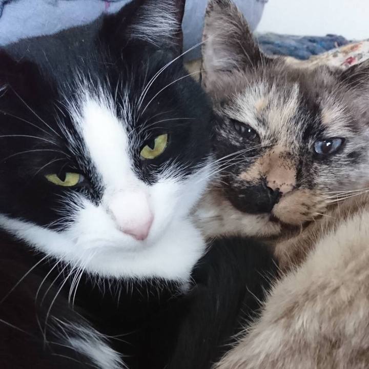 F8e88b7f 9e64 4a59 ad3e 537fde6a37a2 1560173623073