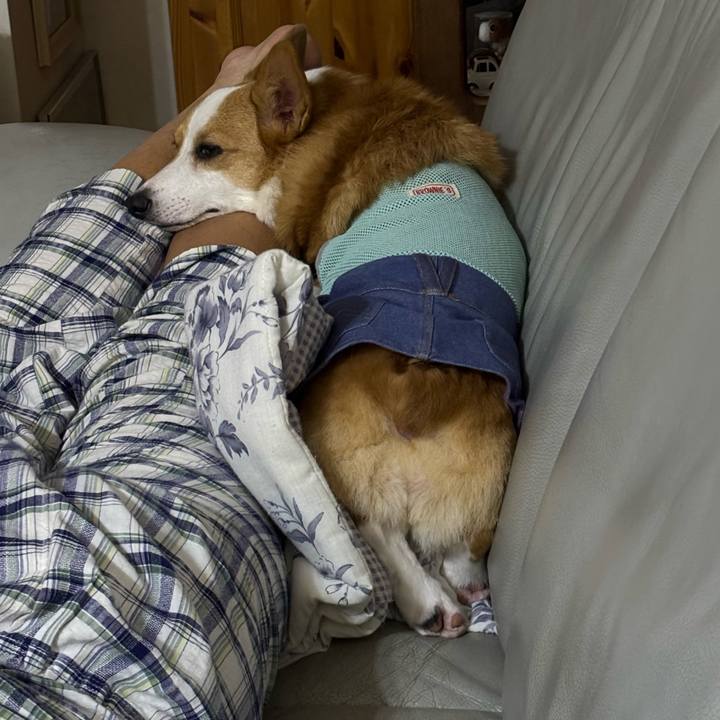 F8e8e01b cf1c 4ae4 ae8e 3fc855cd18de 1757947399018