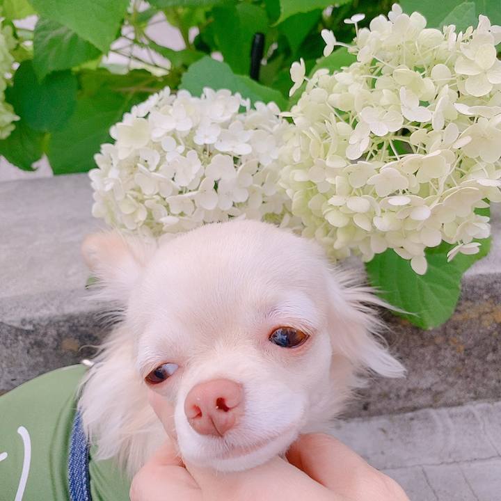 F8e9008b 3240 4f60 8817 7c268a2c56e1 1624267924633