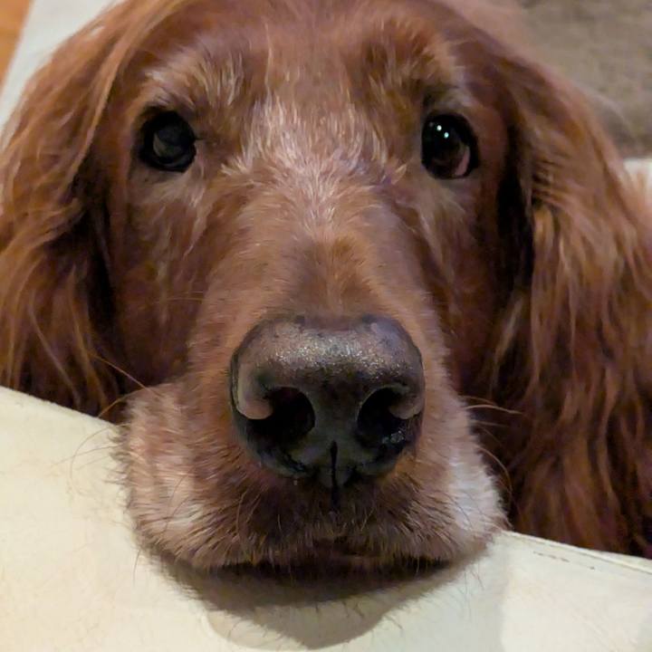 F8e97e6c 67d8 49d4 a096 24a734ec84fd 1776767561300