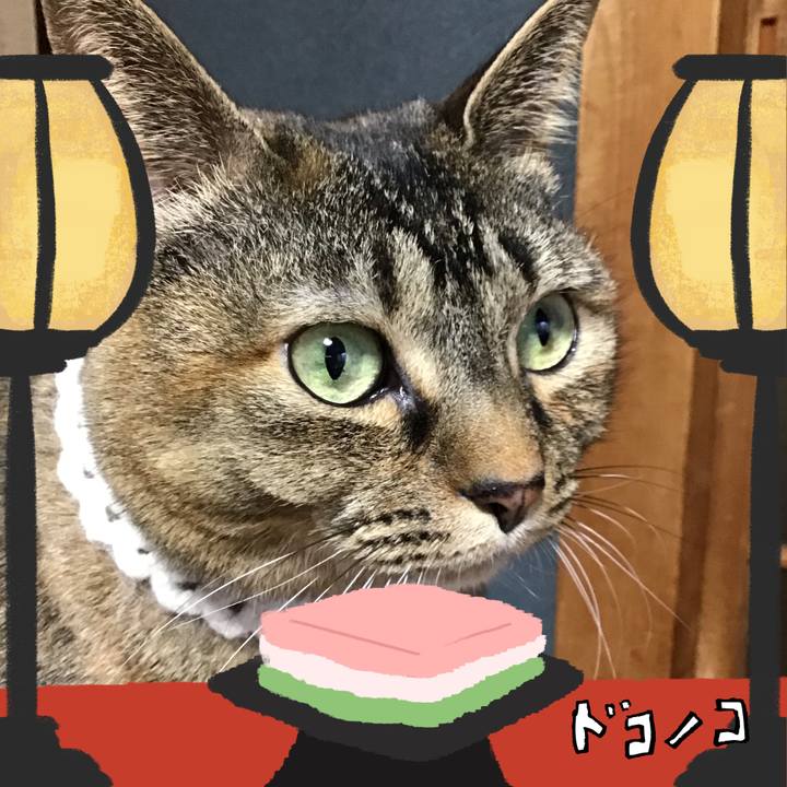 F8e99abc 1a98 4b33 bb8b f34310562b2c 1741248247445