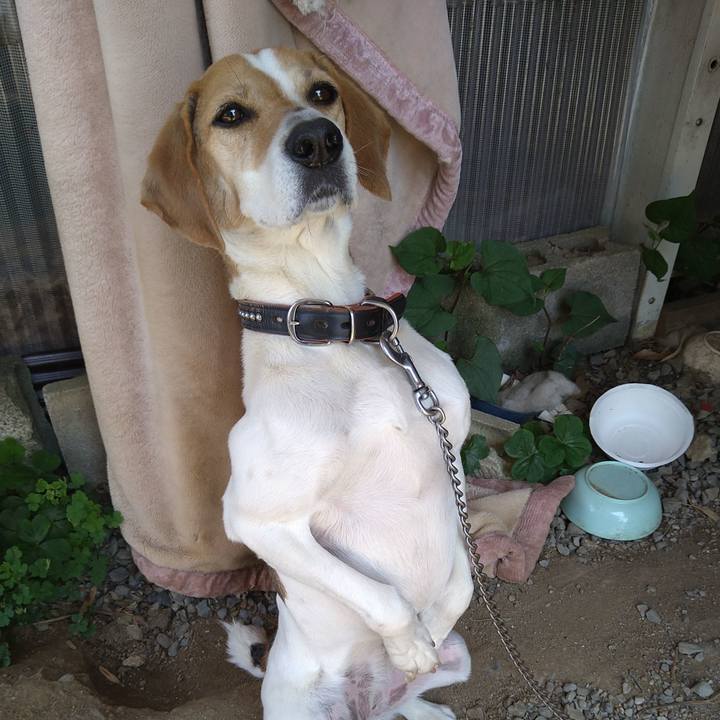 F8e9d4e6 ba3f 484a bc38 f91e04548b18 1652968743363