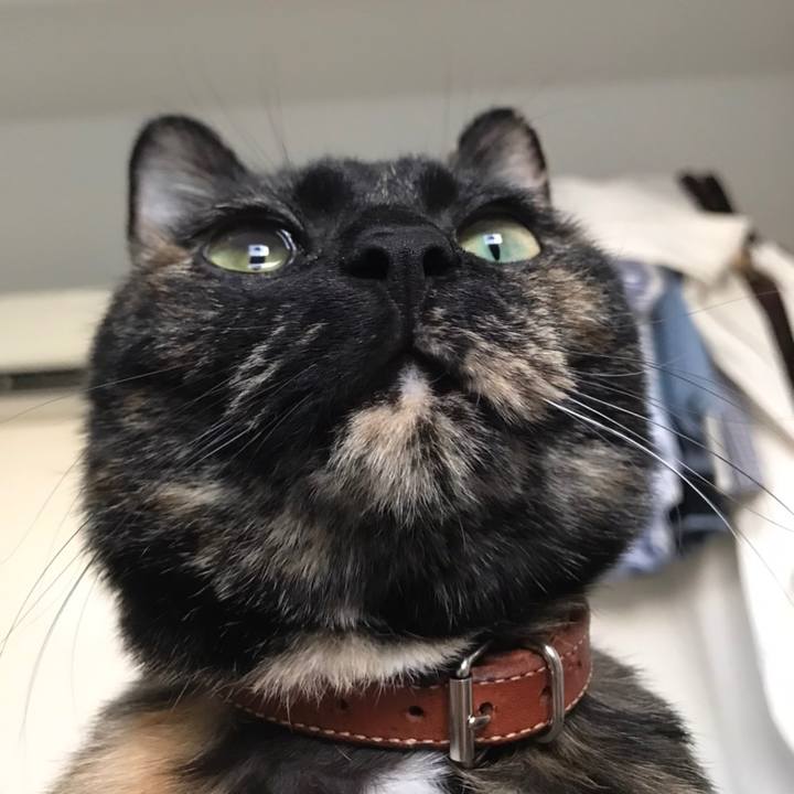 F8ea03d8 a4af 473b adc7 2a89044465b6 1578015162713