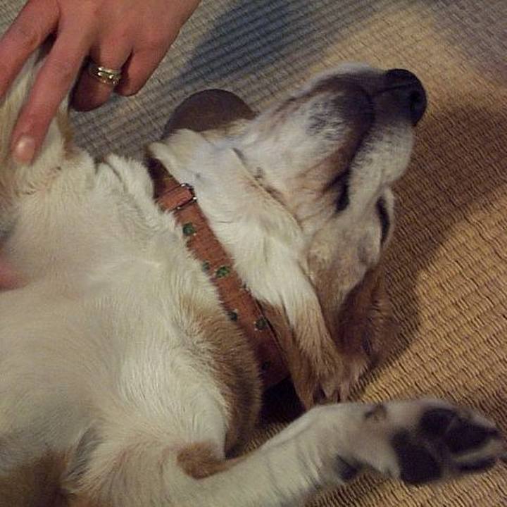 F8ea07a4 0b4a 4bae abaa 9b79cef80763 1637542955952