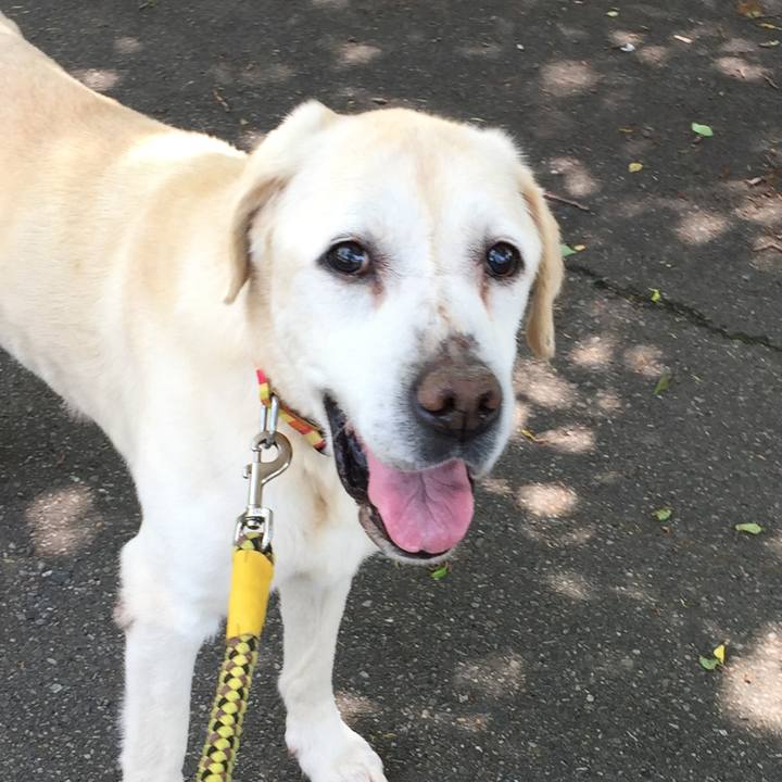 F8ea1495 15b0 41fc 809b 9976a15e7827 1526353894466