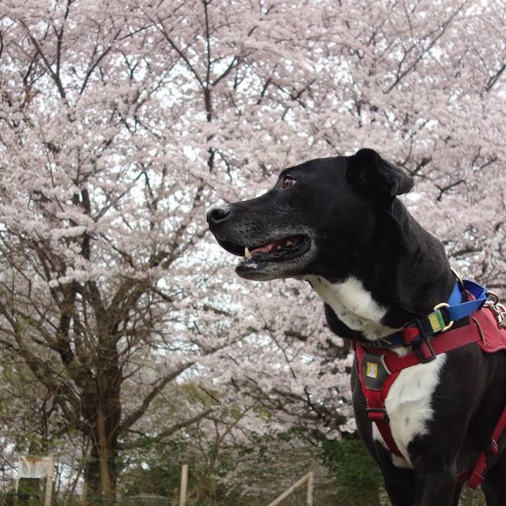 F8ea4045 73f2 45d2 8b61 f578e00c711f 1679881019598