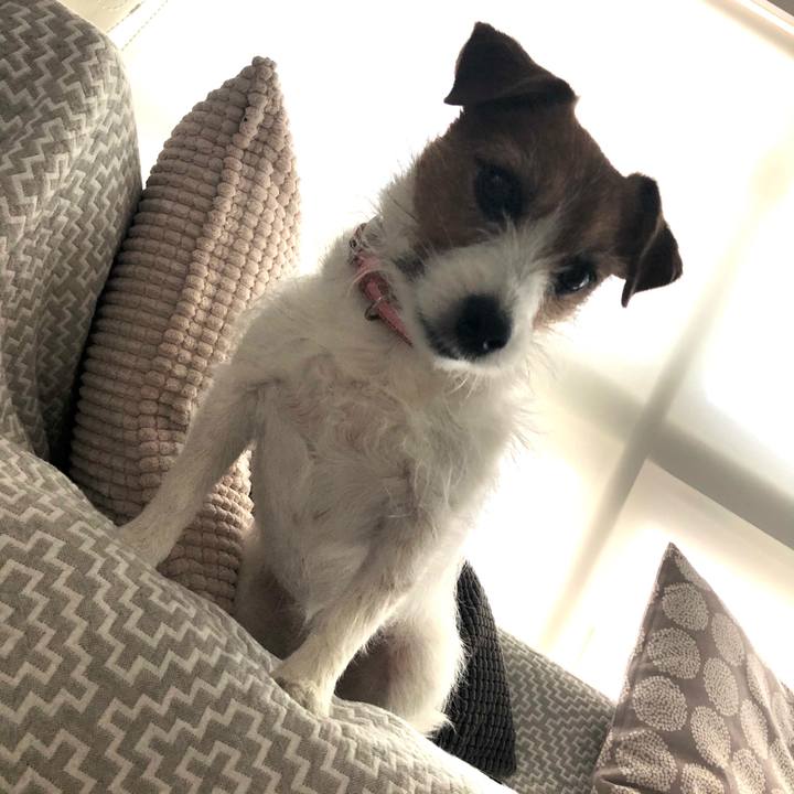 F8ea6adc bf95 4062 a95f 27b01a4255e3 1610260715155