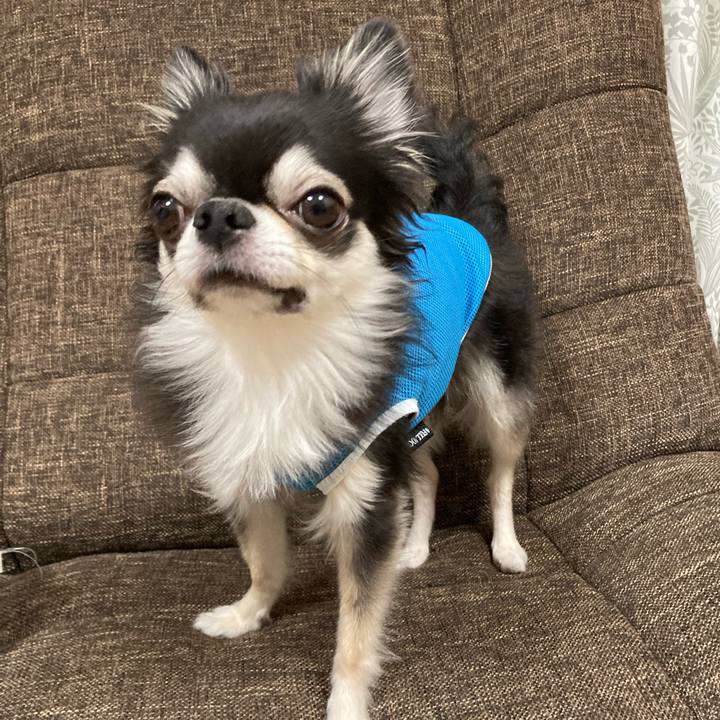 F8ea74af 3448 42c4 b850 be1a3f578bb6 1694964563124