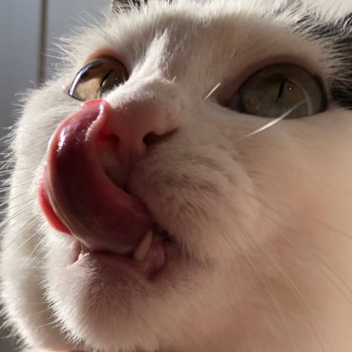 F8ea7d1e 20b5 4b81 9fec 7309fcf097a3 1556955220171