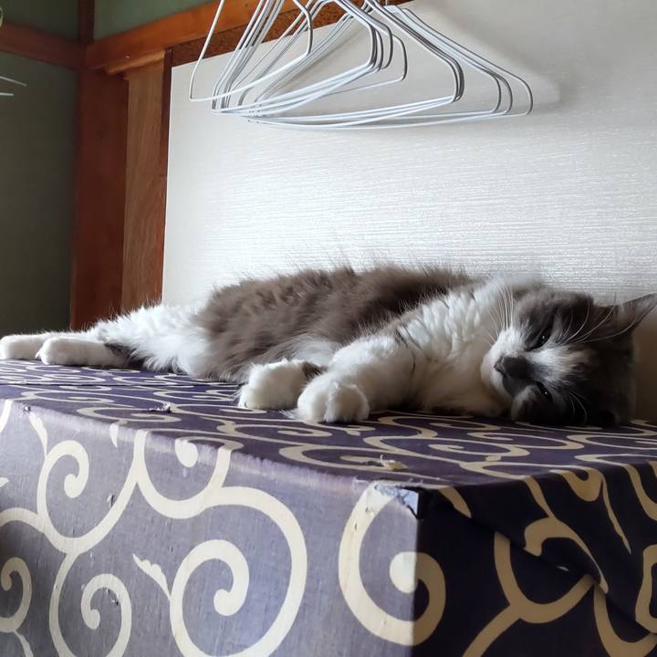 F8ea9560 3e4e 4c4a 97ed 4f57470f0766 1690689966906