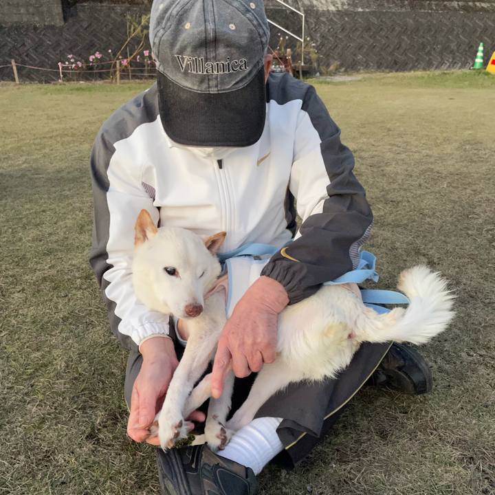 F8eab5df 9685 4e32 8205 3f8cf5a8be8d 1669896627845