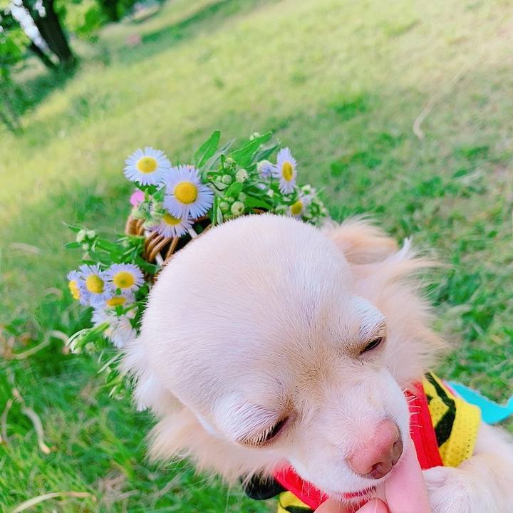 F8eabb1f 864f 4f45 9f4d a021b0c7244e 1621946143966