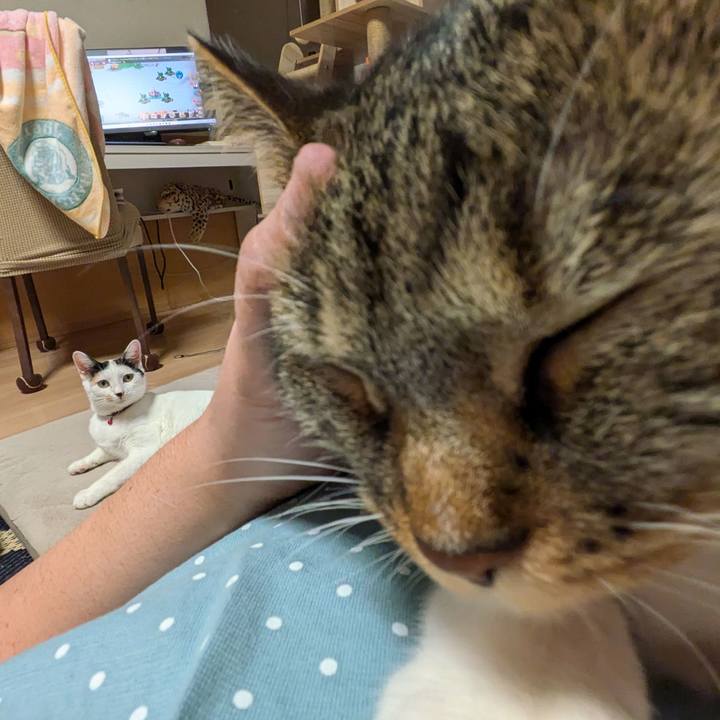 F8eae7bc 07e2 4ef1 a6ad f750cc3bd9d9 1725452788073