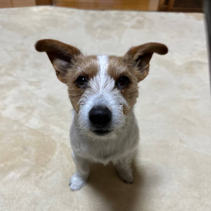 F8eb415d 7075 4081 bea5 cfbf88ef2bac 1772135629546