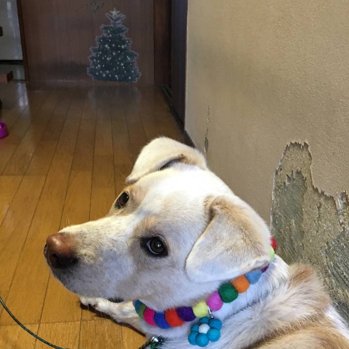 F8eb5636 c69f 4e2d bb95 69f675adf696 1514157709874