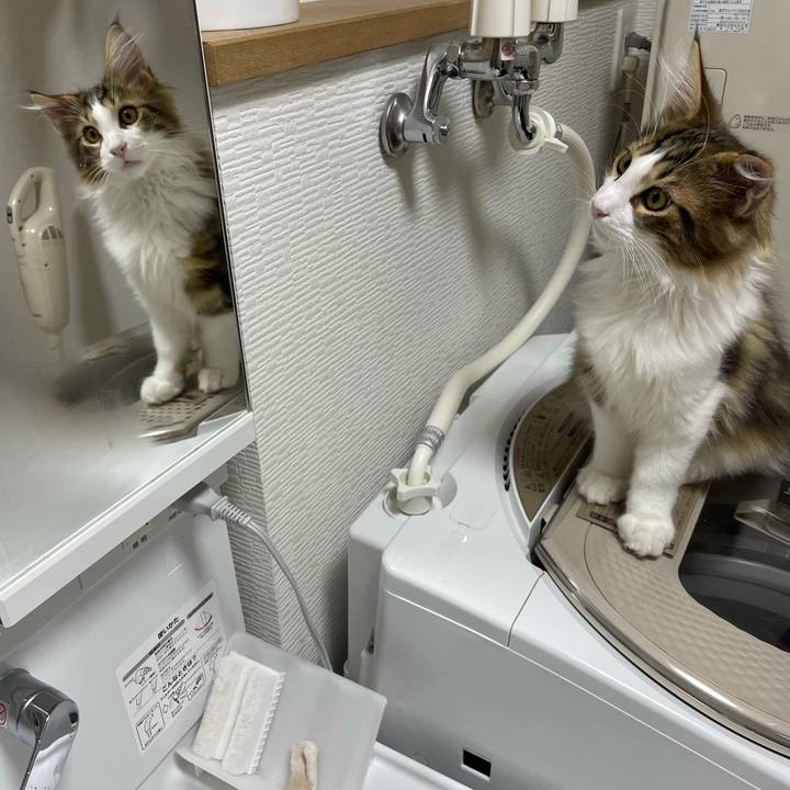 F8eb9749 dfb0 47e1 81e5 3cd95394d165 1635281408806