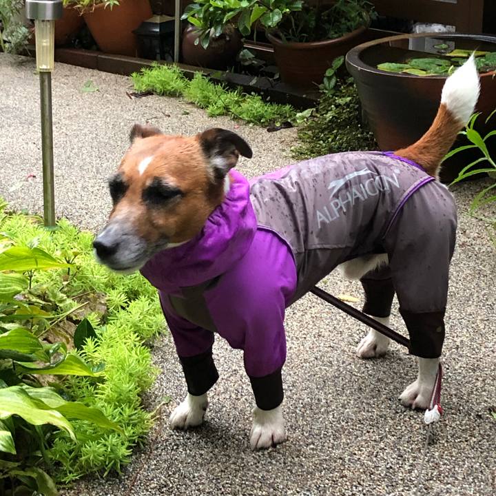 F8ebe3d9 547a 481e 8541 39e19173ac93 1567981885178