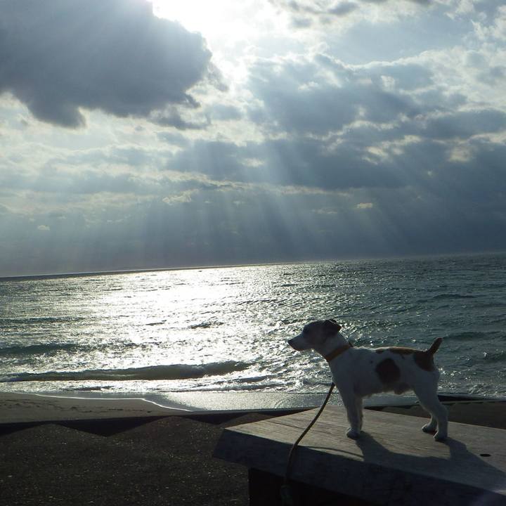 F8ebf1c4 4b88 4b95 bdc3 0859bac1b240 1553156957545