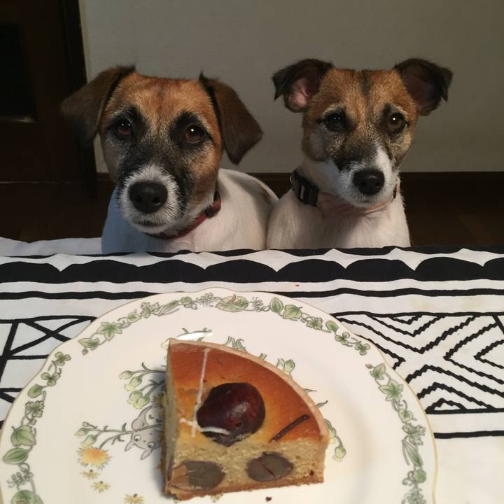 F8ec4775 a29a 4028 b008 994b84ee103c 1566221853675