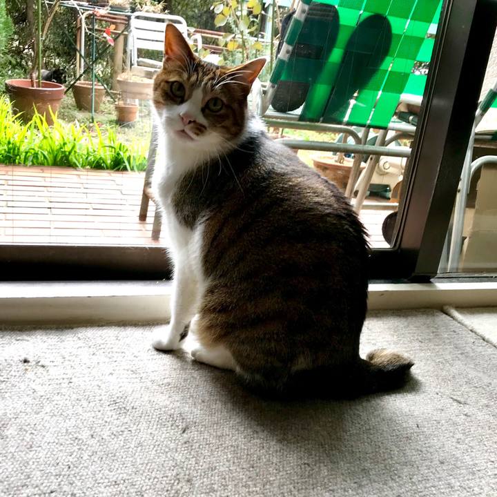 F8ec717b 7f30 4d3c b12d a85c4ad4dd8b 1548656349192