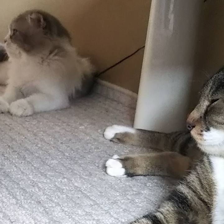 F8ec76d6 2376 40a8 8c0a a0903abade3b 1624861722839