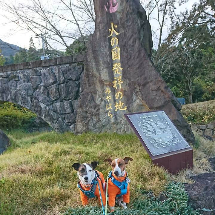 F8ecd2c5 e3a2 4012 9990 9e4908321a78 1606173184292