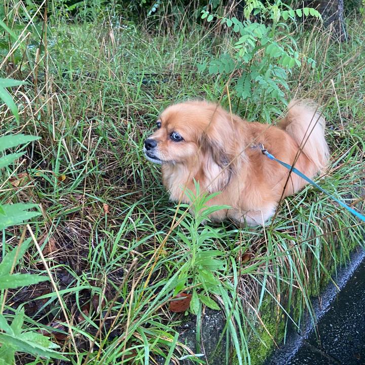 F8ecd858 2eda 47f6 a2a6 77e5d126a187 1658871619384