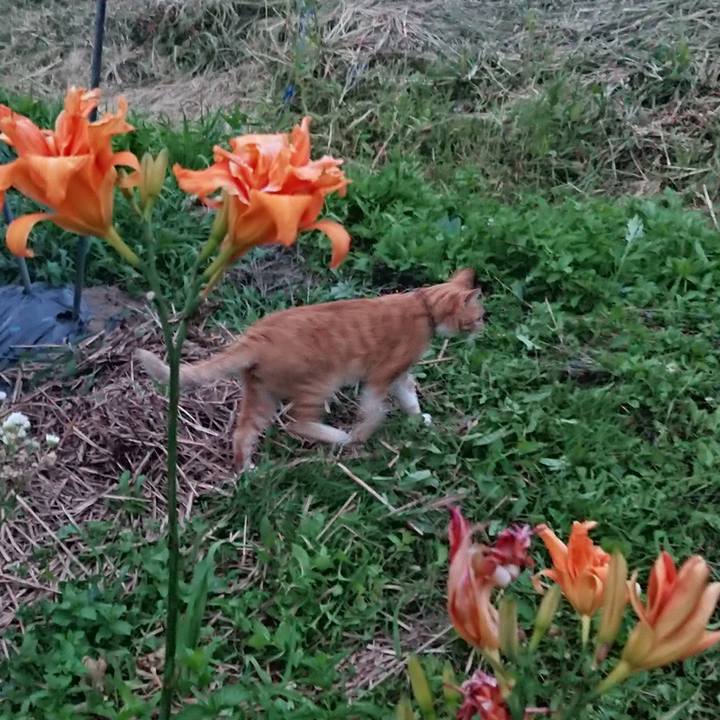 F8ececf8 3088 46df 9707 bb5d8cf8ae64 1564136820430