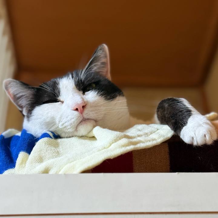 F8ed21f4 8c72 459b a75e d9eb3f5a436d 1745977700104