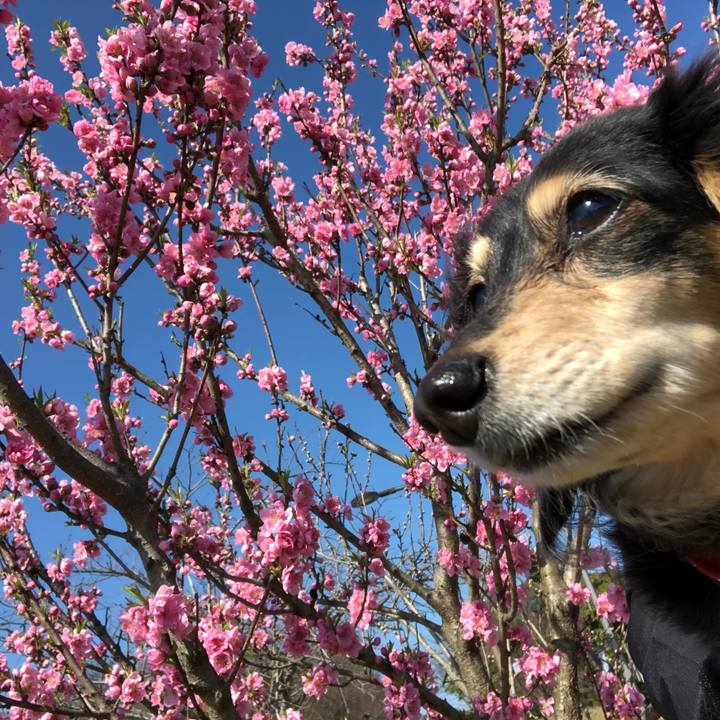 F8ed246e e0dc 4072 b512 94453dae1c85 1615787285139