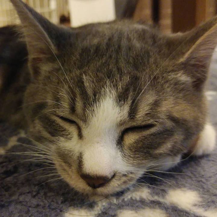 F8ed3cd2 db7a 4f34 ba1d 5c1dfcefa20f 1566220519870