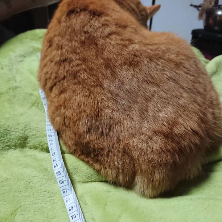 F8ed3d2f e7cb 44b6 95c8 0a6bb251a3e4 1608114470097