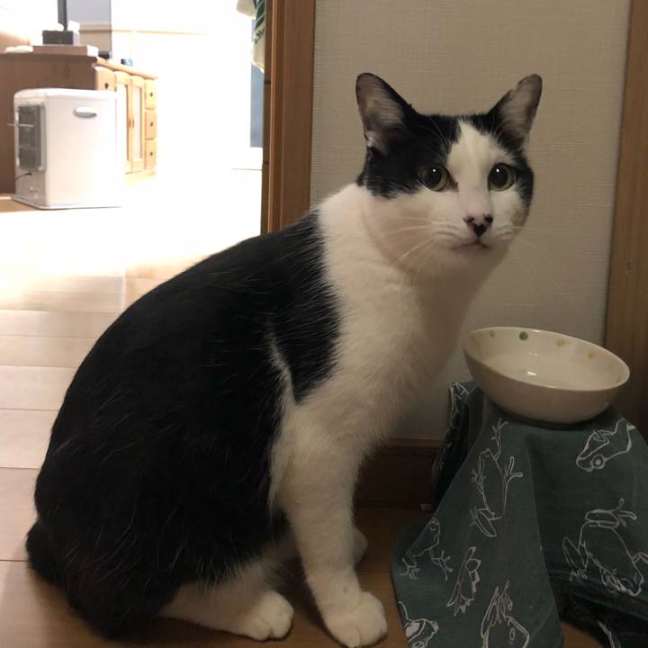 F8ed590d 66c7 48fa 81eb 856f31d14600 1547740564578