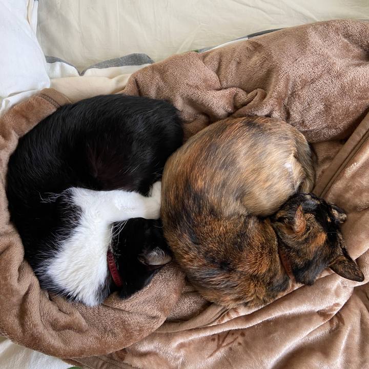 F8ed81bd 3288 431e 90f6 f27127bd0f72 1603349165209