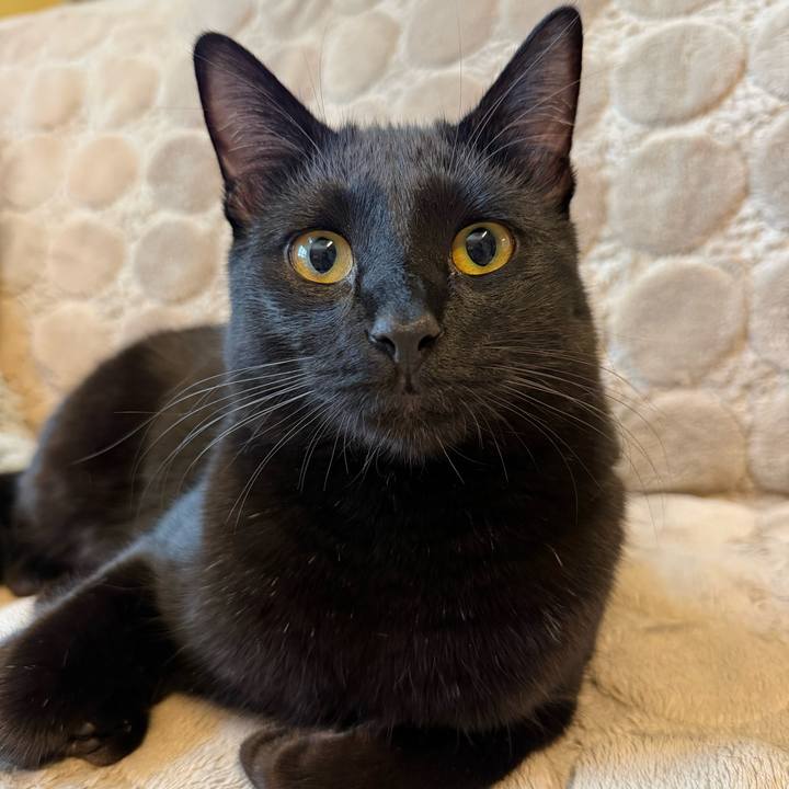 F8ed85b5 ca5f 4389 a3f3 ef46956a1b32 1772443821527