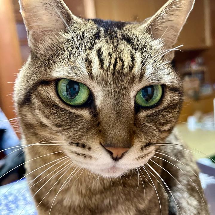 F8ed9c2e 4482 46ce 9bab 9dd418ec0f7d 1705655234408