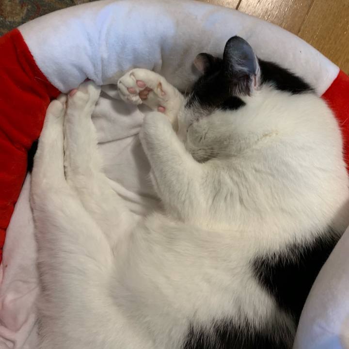 F8edb474 b24d 488c b2c5 982578f7bd9c 1563288934498