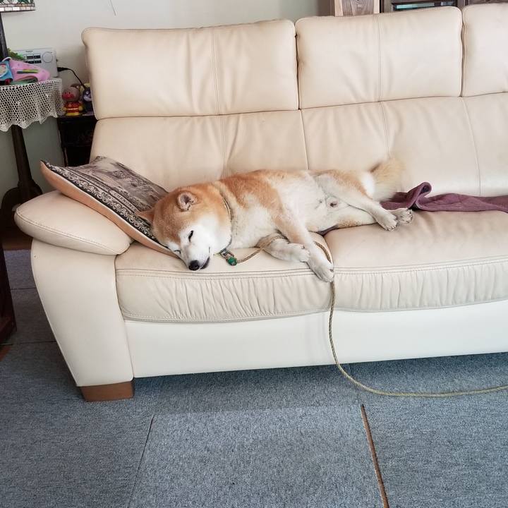 F8ede4d9 3a1a 4be3 b35b 6547ecd6feae 1656385086287