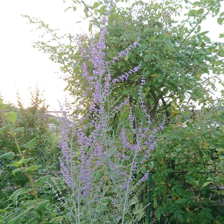 F8edfc41 a620 4257 846c 5bc49cc1a562 1655696925964