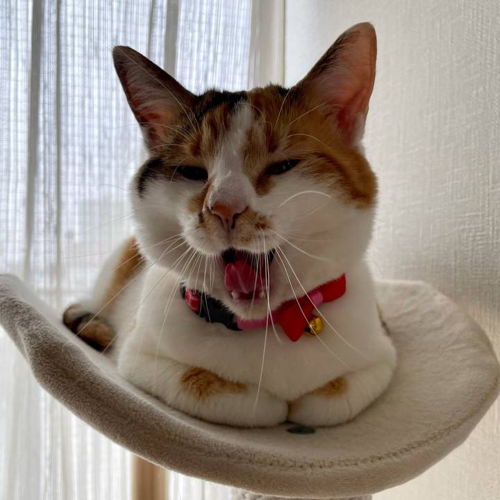 F8ee29a7 4971 4763 9a65 2f39e8165b7b 1617076242117