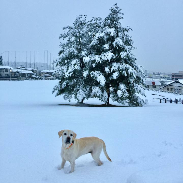 F8ee4152 0b6a 4fad b6fb 9485dc02956a 1609584304155