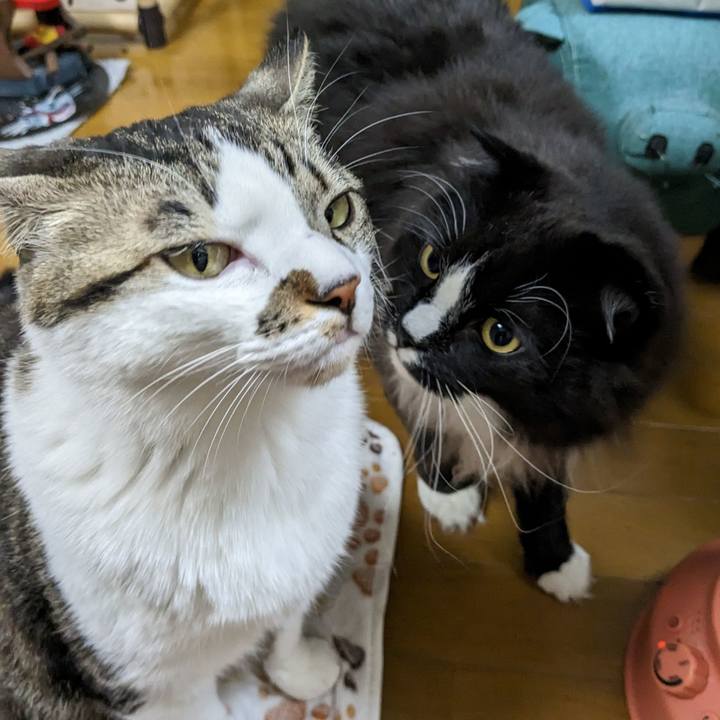 F8ee5c74 0d2c 4356 a578 e5b117de8353 1674893139133