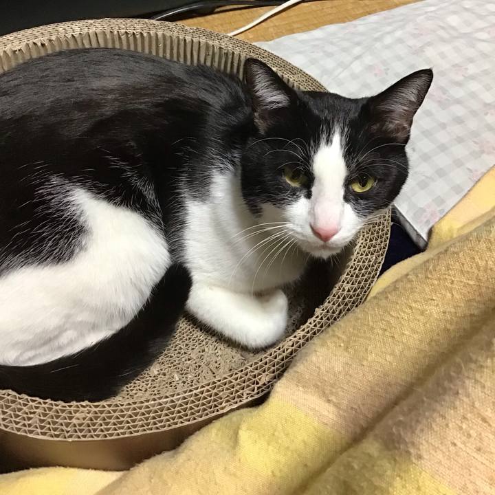 F8eec7e9 bb14 41f5 b43e 9fbee23e95e0 1706435962957