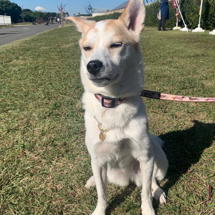 F8eee60d afa5 4f8a bd69 58388c6e2108 1637193674844