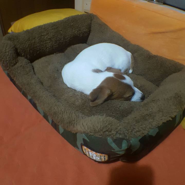 F8ef5603 e4cc 442d 9943 f723c0c310a3 1550139949918