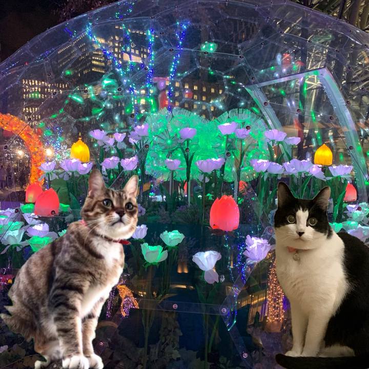 F8ef835b b697 455f 95e3 52c208c04c60 1732538681061