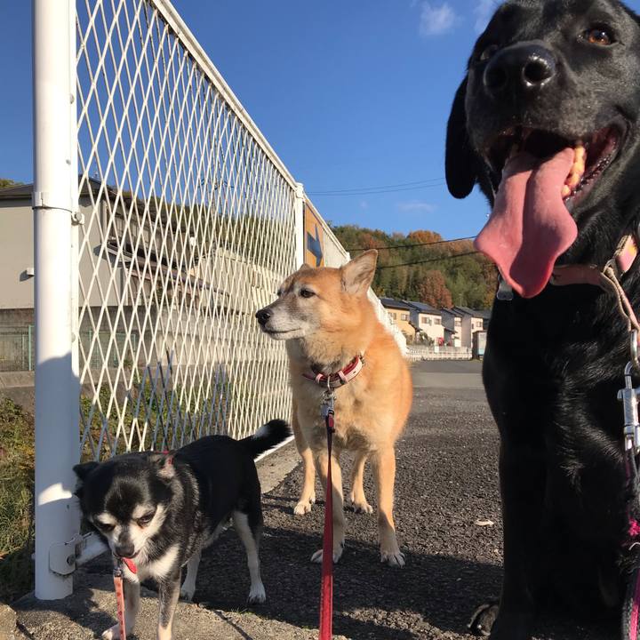 F8efaa22 4eac 4440 b392 d440080e3b70 1575795775494